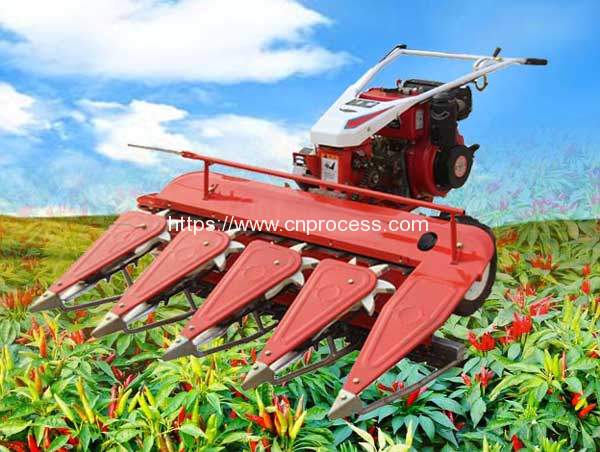 Man Holding Type Chili Pepper Harvester Machine - Chili Processing Machine  Manufacturer and Supplier